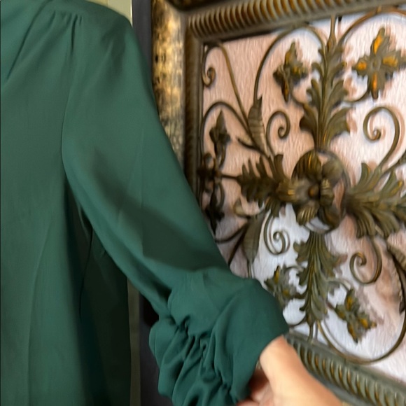 NWT Elegant Brixon Ivy Top - green flowing     With ruched sleeves Sz XS - Picture 5 of 12